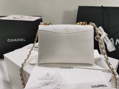 CHL Bag 2 Color 's  20 cm