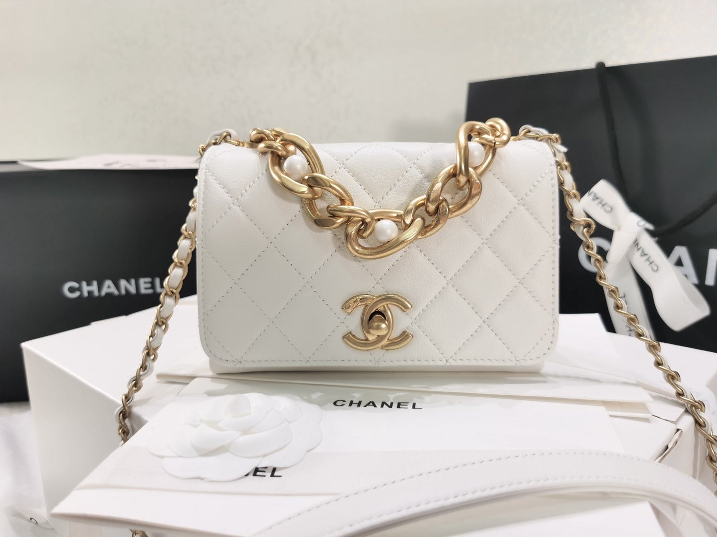 CHL Bag 2 Color 's  20 cm