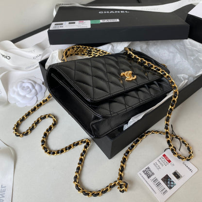 CHL Bag  2 Color 's  Small 18 cm
