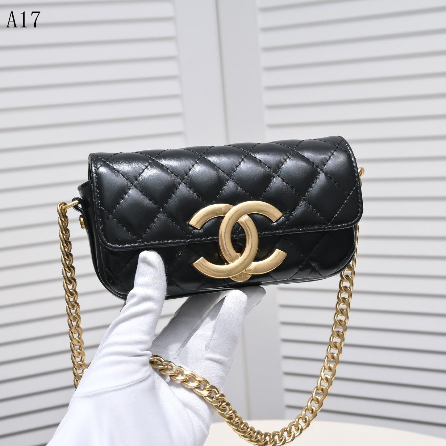 CHL Bag  2 Color 's  2 Size 's