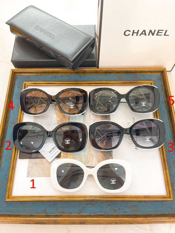 CHL Sunglasses 6 Color 's