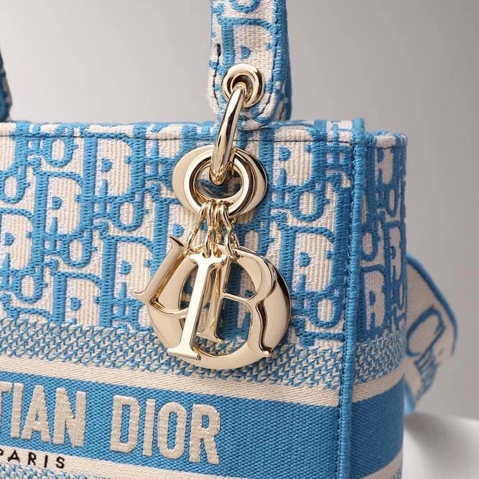 CHD Bag D-lite