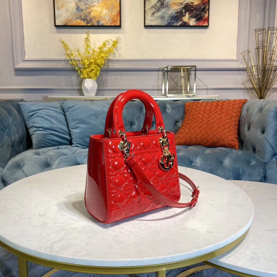 CHD Bag silver  Dlite Red