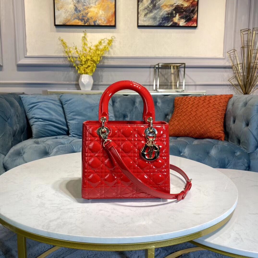 CHD Bag silver  Dlite Red