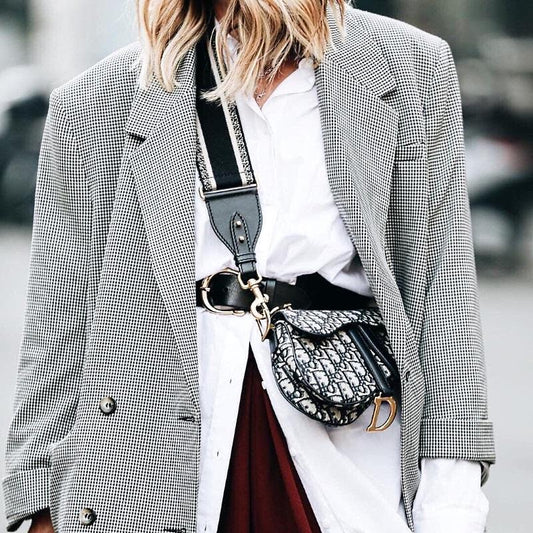 Dior saddle bag