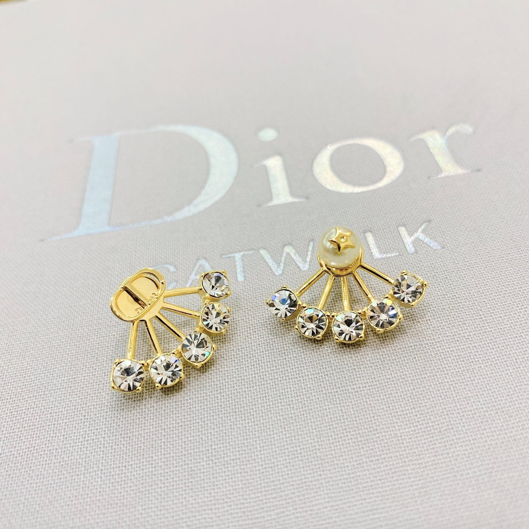 CHD Earring