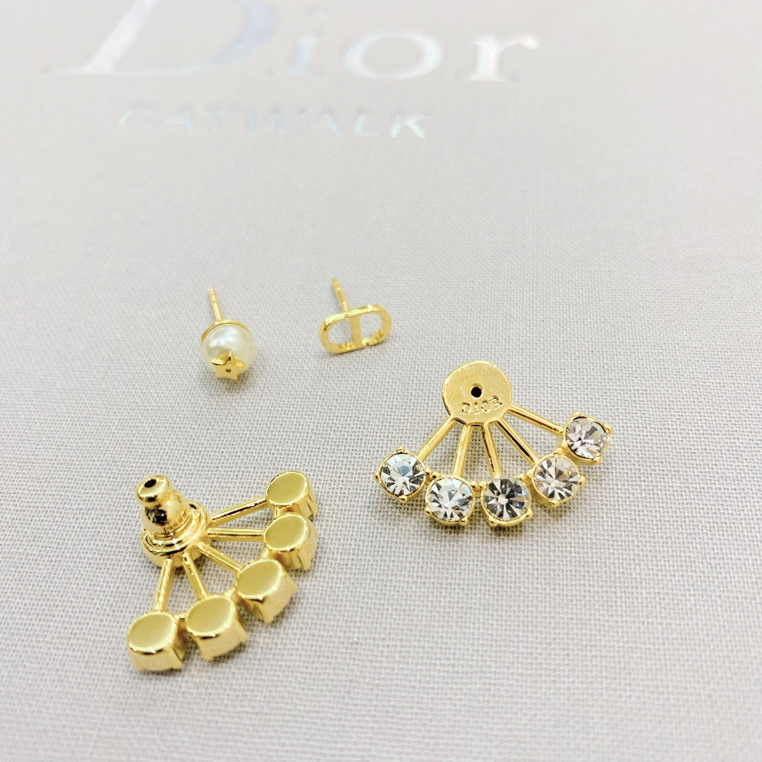 CHD Earring
