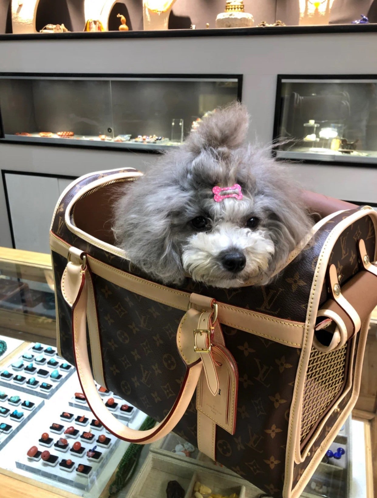 LU Bag Dog Carrier Travel 2 Size